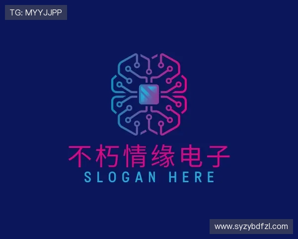 解读不朽情缘电子